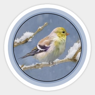 American Goldfinch in Winter Painting - Wild Bird Art Sticker